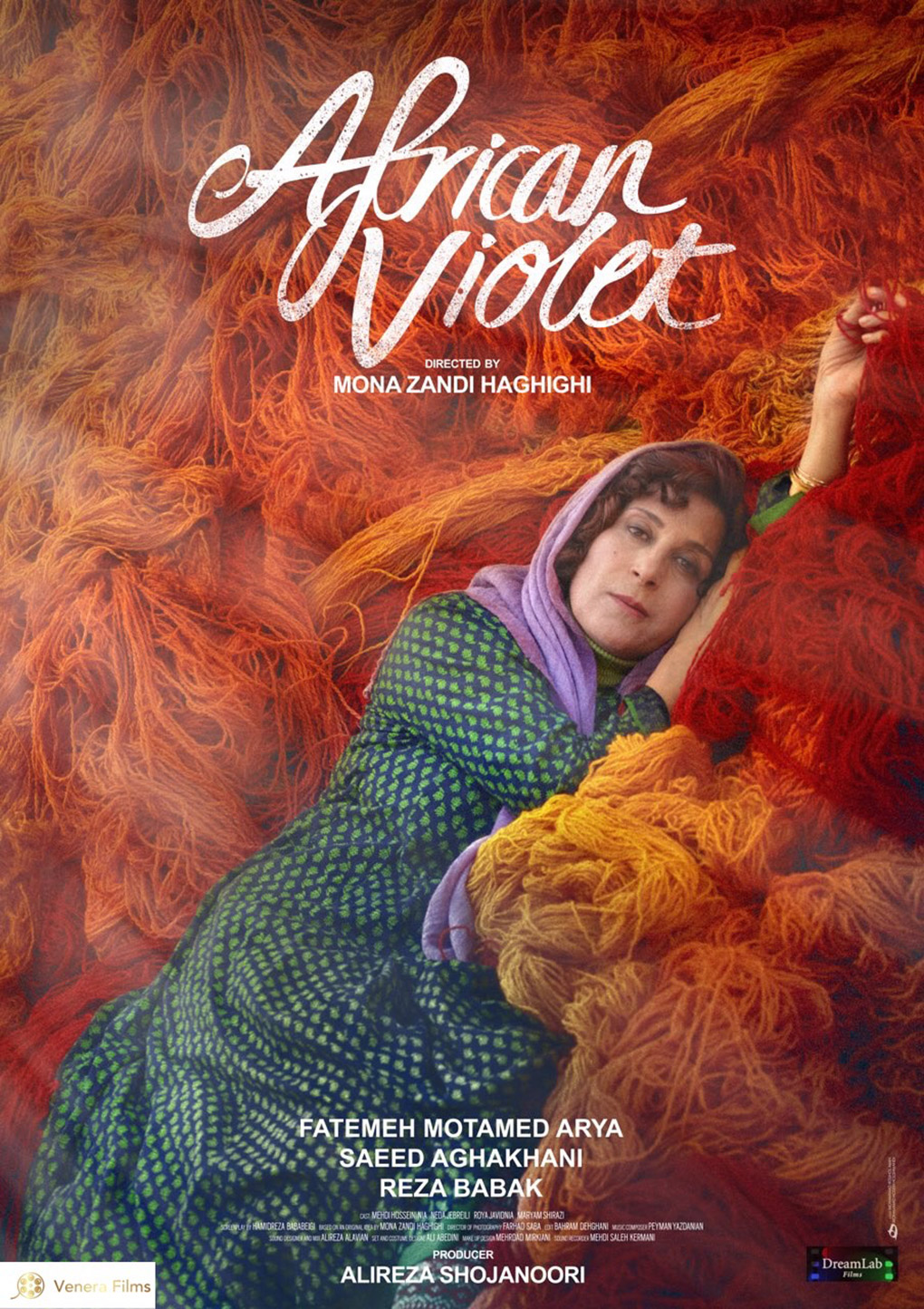 African Violet still 00