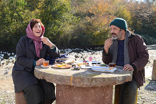 African Violet still 02