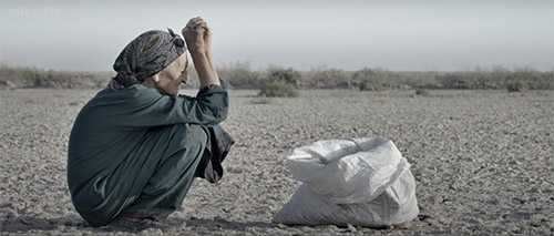 2026 UCLA Film - The Granny And Fishes