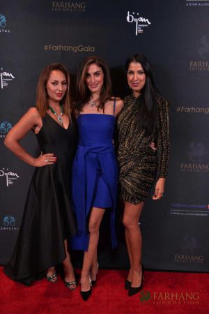 on the red carpet   Farhang s 8th Annual Gala 2018160