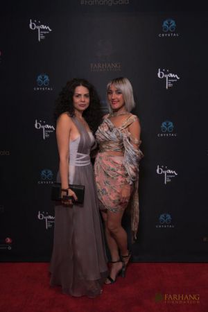 on the red carpet   Farhang s 8th Annual Gala 2018207
