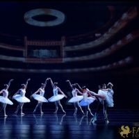 The White Feather 027