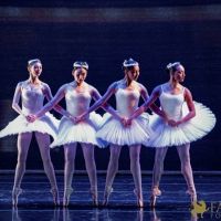 The White Feather 028