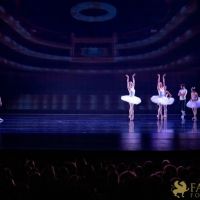 The White Feather 033