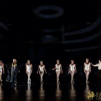 The White Feather 037