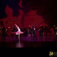 The White Feather 073