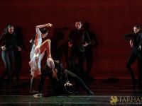 The White Feather 087