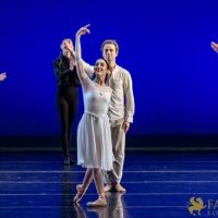 The White Feather 100