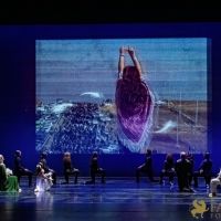 The White Feather 114