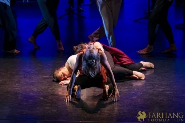 Conference of The Birds   095