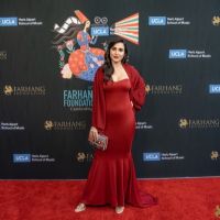 On The Red Carpet at the 2023 Farhang Film Festival Awards 075