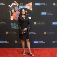 On The Red Carpet at the 2023 Farhang Film Festival Awards 118