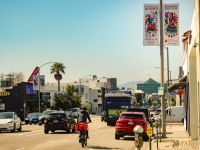 023 Farhang Nowruz Street Banners 2024