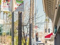 025 Farhang Nowruz Street Banners 2024