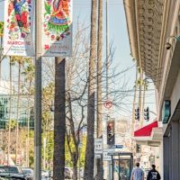 025 Farhang Nowruz Street Banners 2024