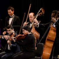 028 Roudaki Orchestra