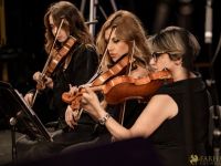 079 Roudaki Orchestra 079 Roudaki Orchestra