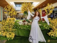 34 Nowruz at Westfield Century City  34 Nowruz at Westfield Century City