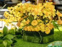 45 Nowruz at Westfield Century City  45 Nowruz at Westfield Century City