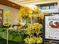 51 Nowruz at Westfield Century City  51 Nowruz at Westfield Century City