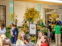 70 Nowruz at Westfield Century City  70 Nowruz at Westfield Century City