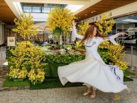 78 Nowruz at Westfield Century City  78 Nowruz at Westfield Century City
