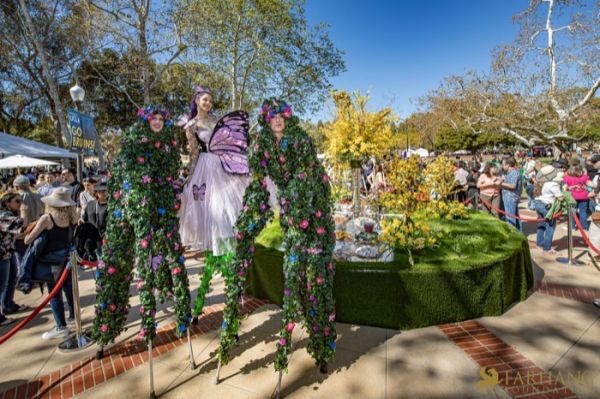 162  15th Annual Celebration of Nowruz at UCLA