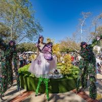 16 Highlights from the 15th Annual Celebration of Nowruz at UCLA 16 Highlights from the 15th Annual Celebration of Nowruz at UCLA