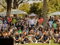 11 Festival BH 2025