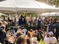 26 Festival BH 2025
