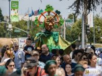 41 Festival BH 2025 41 Festival BH 2025