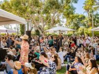 46 Festival BH 2025 46 Festival BH 2025