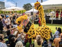 51 Festival BH 2025 51 Festival BH 2025