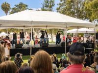 55 Festival BH 2025 55 Festival BH 2025