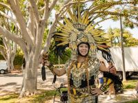 56 Festival BH 2025 56 Festival BH 2025