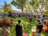 60 Festival BH 2025 60 Festival BH 2025