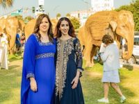 84 Festival BH 2025 84 Festival BH 2025