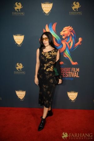 41 Red Carpet Arrivals   2026 Farhang Film Festival Awards 
