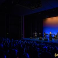 29 Voices Unveiled SF