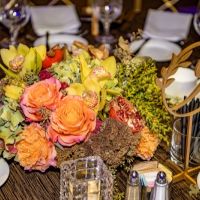 83  14th Annual Farhang Foundation Fundraising Gala