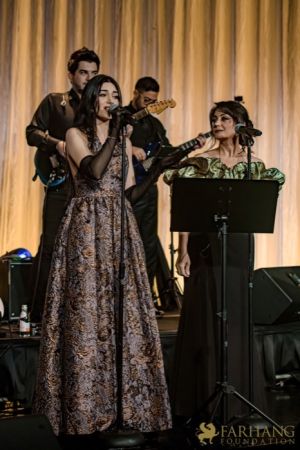 251  14th Annual Farhang Foundation Fundraising Gala