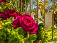 9th annual celebration of nowruz in los angeles 021