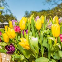 9th annual celebration of nowruz in los angeles 027
