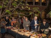 15 THE DAWN IS TOO FAR