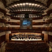 142 Echoes of Freedom
