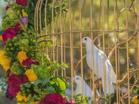 9th annual celebration of nowruz in los angeles 101