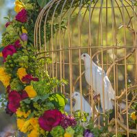 9th annual celebration of nowruz in los angeles 101
