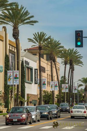 farhangs annual nowruz street banners 2017 008
