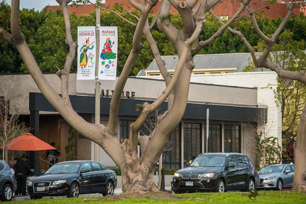 farhangs annual nowruz street banners 2017 015
