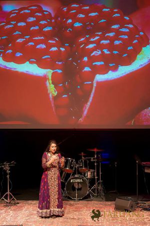 4th annual celebration of shab e yalda 025
